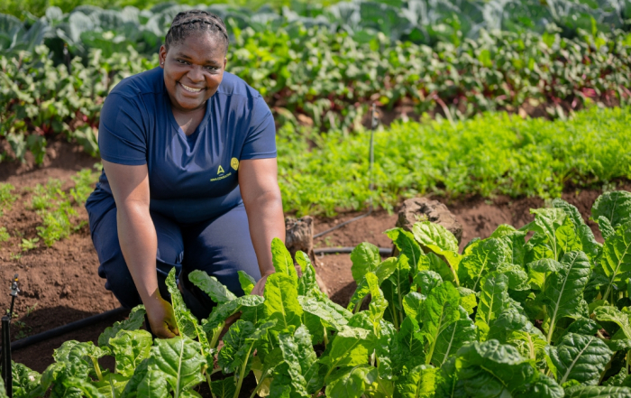 Do More Foundation Christmas