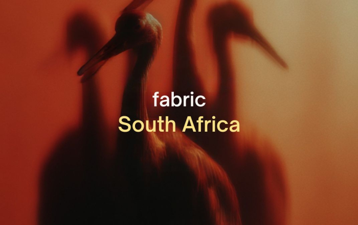 fabric South Africa 2026