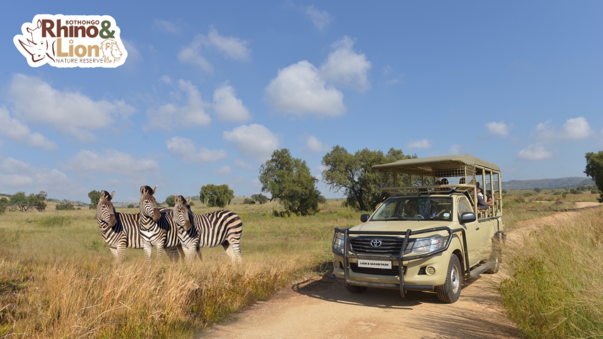 Bothongo Rhino & Lion Nature Reserve offers the perfect educational outing