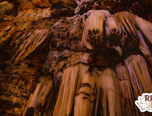 Bothongo WonderCave’s Breathtaking Underground Wonder