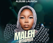 The Dithapelo Experience Market Theatre