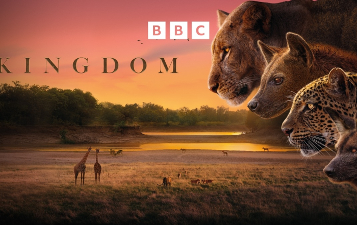 BBC earth Kingdom narrated by Sir David Attenborough