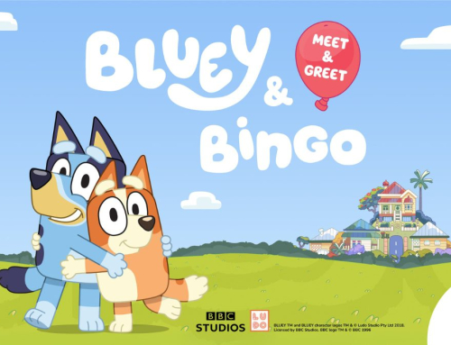 Bluey and Bingo Make A Special Appearance at CapeGate Shopping Centre
