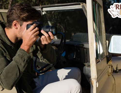 Tips For Stunning Wildlife and Landscape Shots