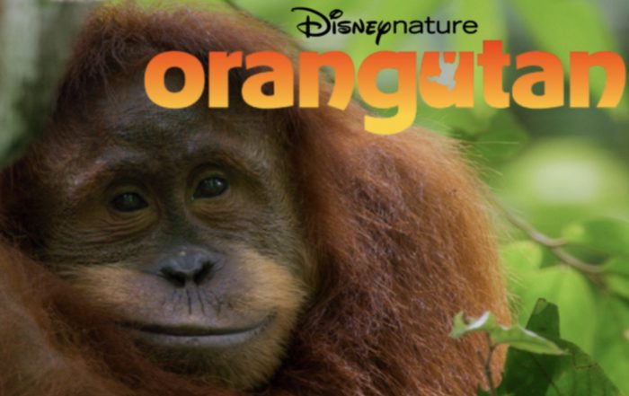 DISNEYNATURE'S ORANGUTAN