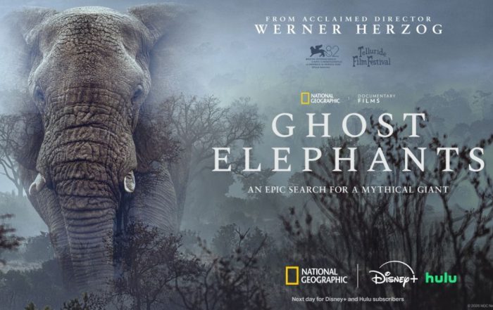 National Geographic Werner Herzog's Ghost Elephants