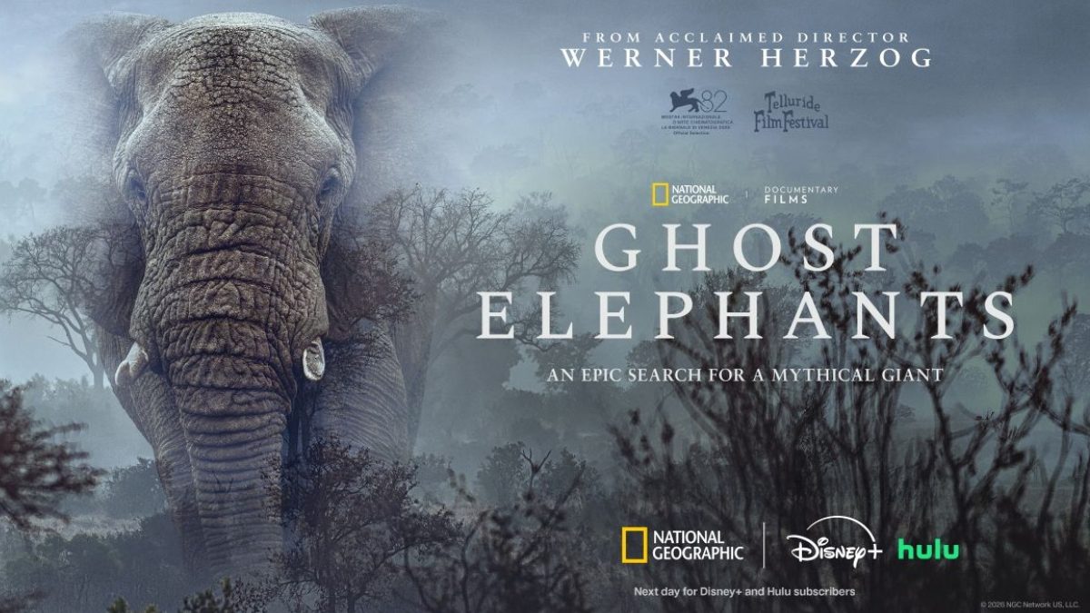 National Geographic Werner Herzog's Ghost Elephants
