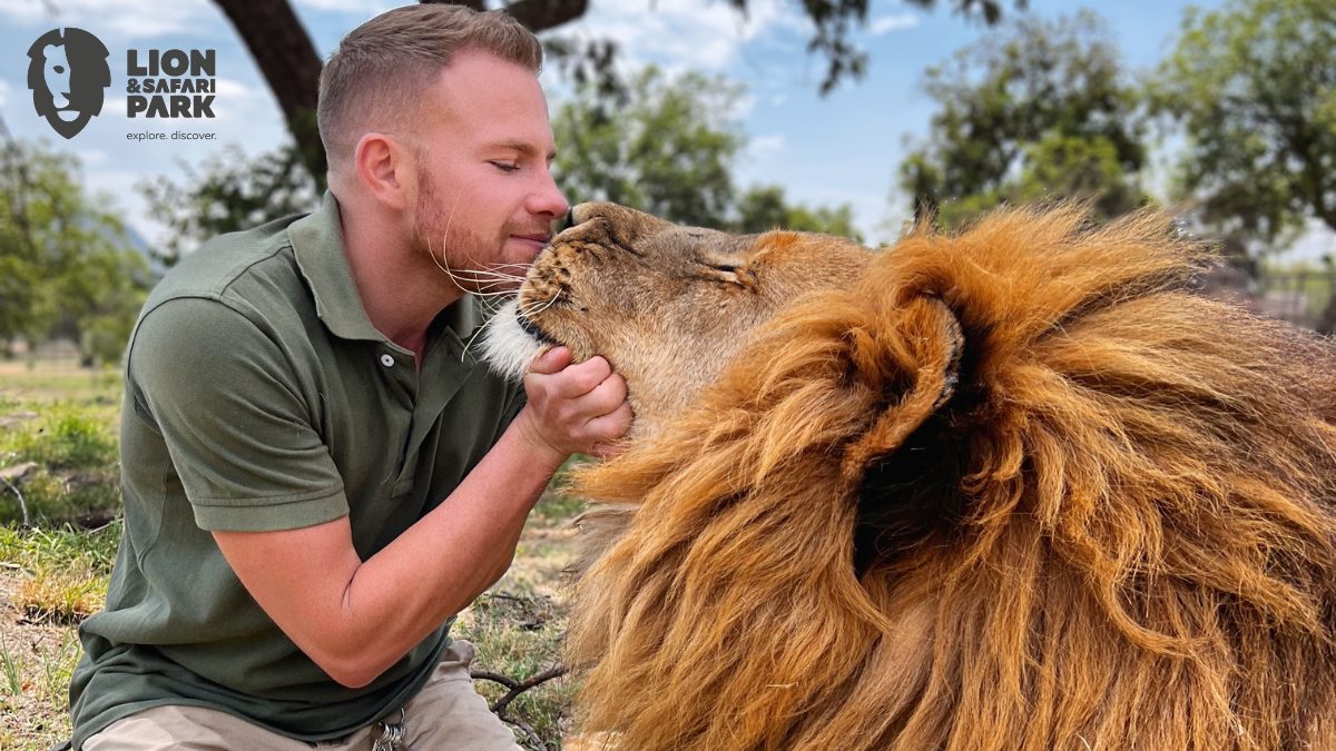 World Wildlife Day Lion & Safari Park