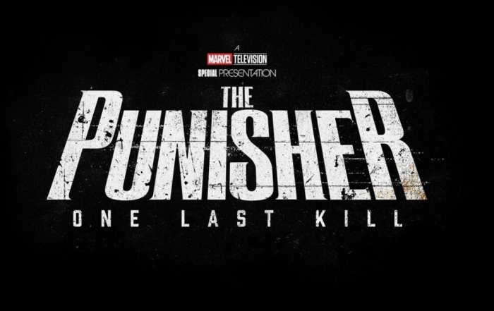 The Punisher: One Last Kill