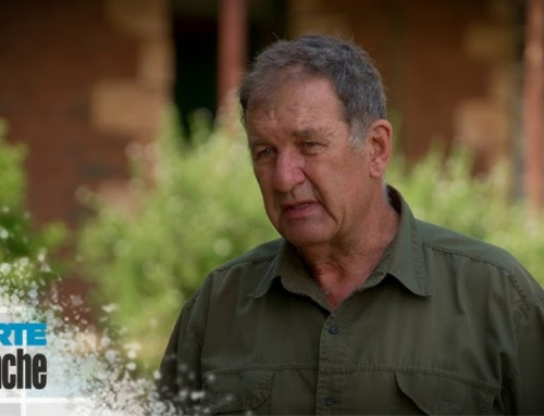 Carte Blanche Investigates This Sunday