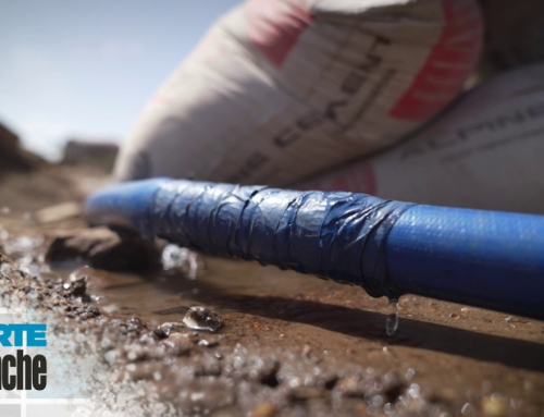 Carte Blanche Investigates This Sunday