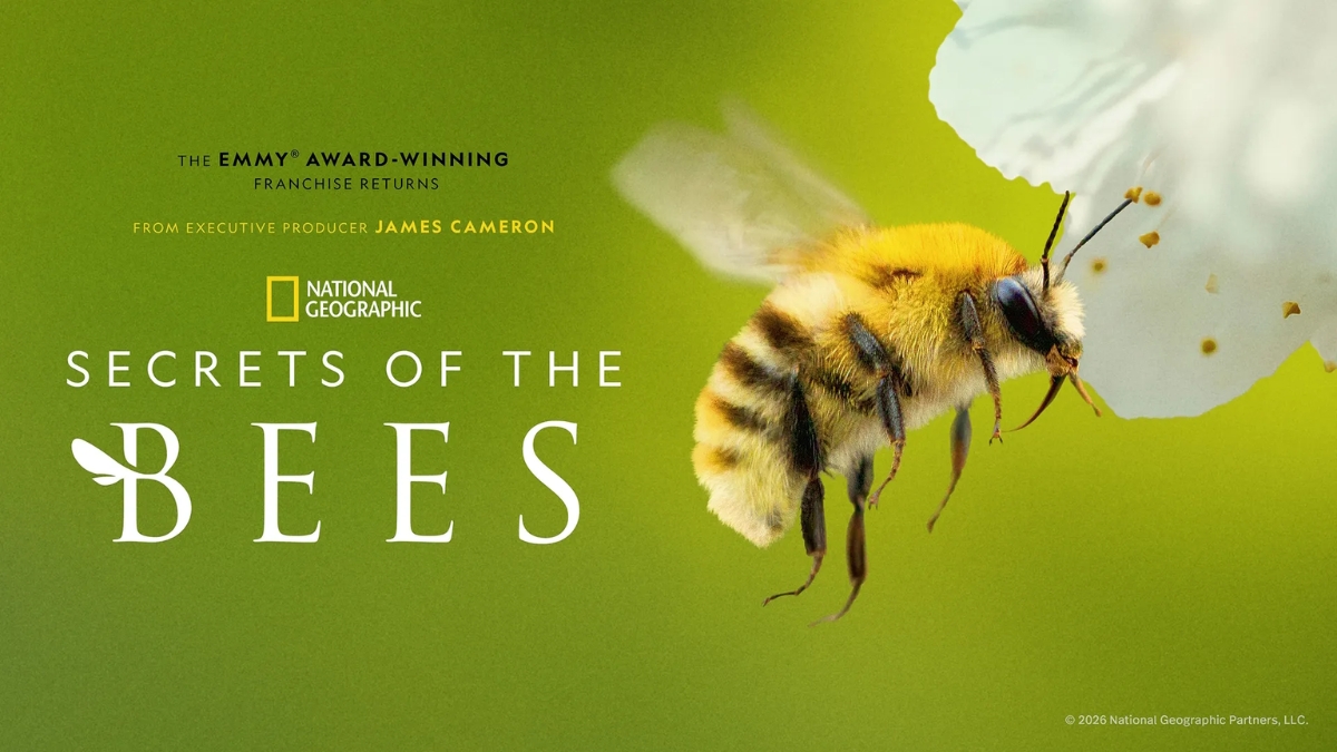 National Geographic Wild Secrets of the Bees