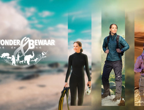 kykNET’s Docu-Series Bewonder & Bewaar Returns This Sunday