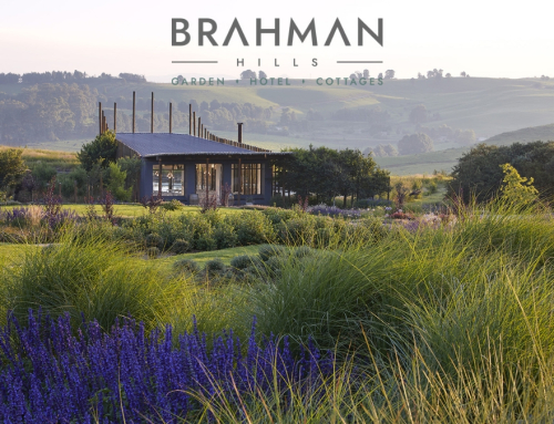Reconnecting and Creating New Memories At Brahman Hills