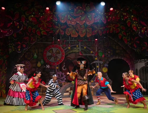 Steven Stead’s Puss in Boots Pantomime At The Baxter Theatre These Holidays