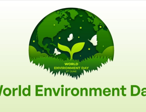 World Environment Day Highlights Need To Accelerate Action On Climate Change