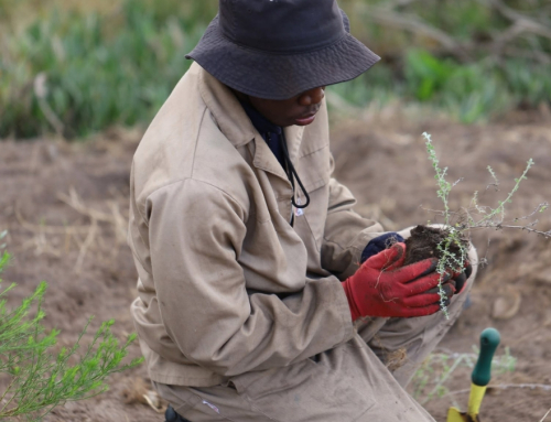 Nature Connect Marks 25 Years of Connecting People With Nature