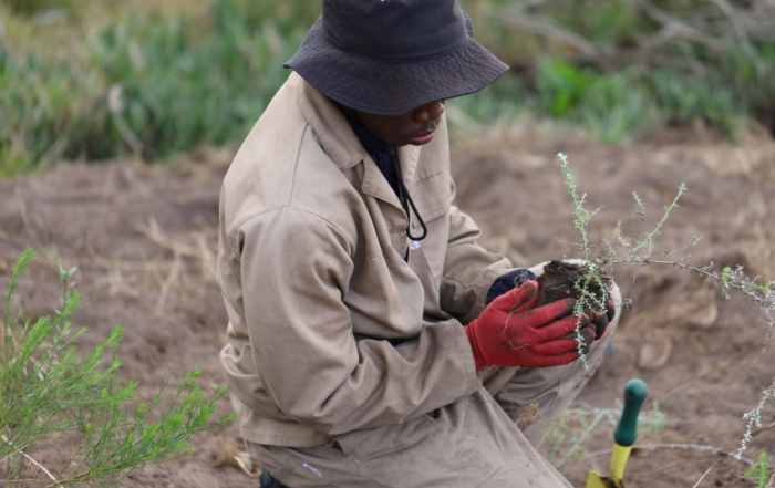 Nature Connect marks 25. Years