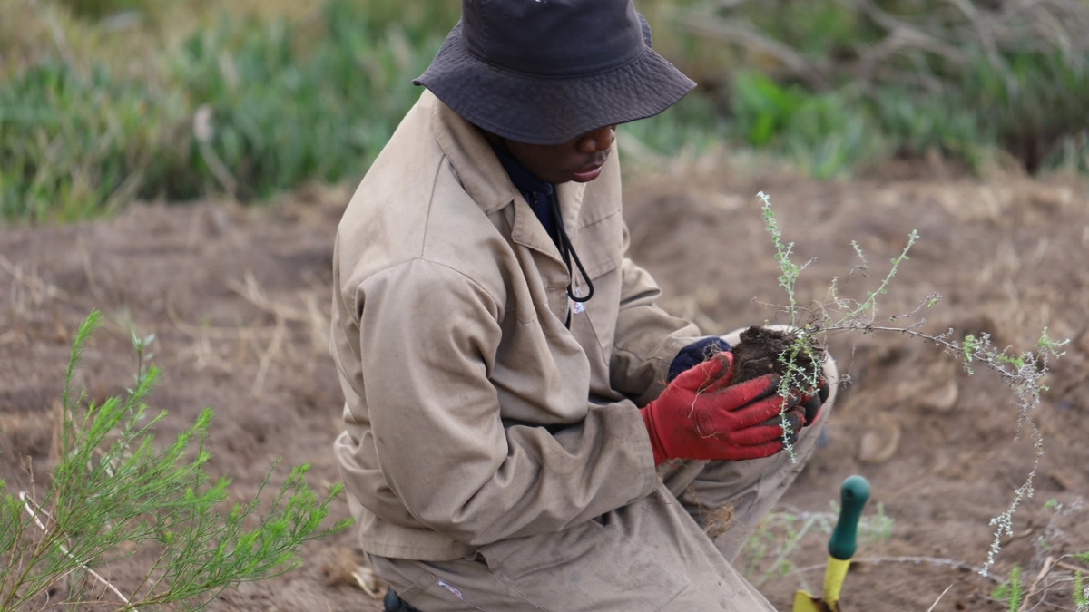 Nature Connect marks 25. Years